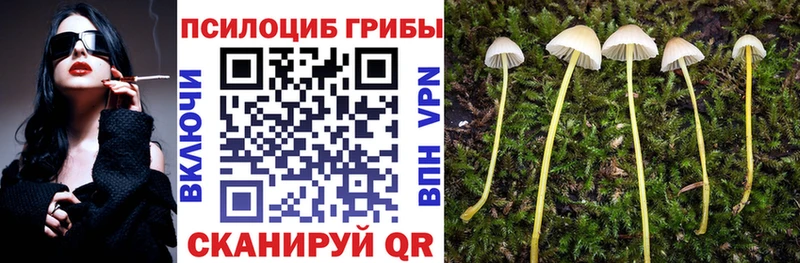 Галлюциногенные грибы Cubensis  купить наркоту  Нижнекамск 